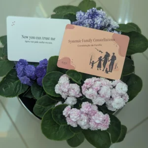 Systemic Family Constellation Cards