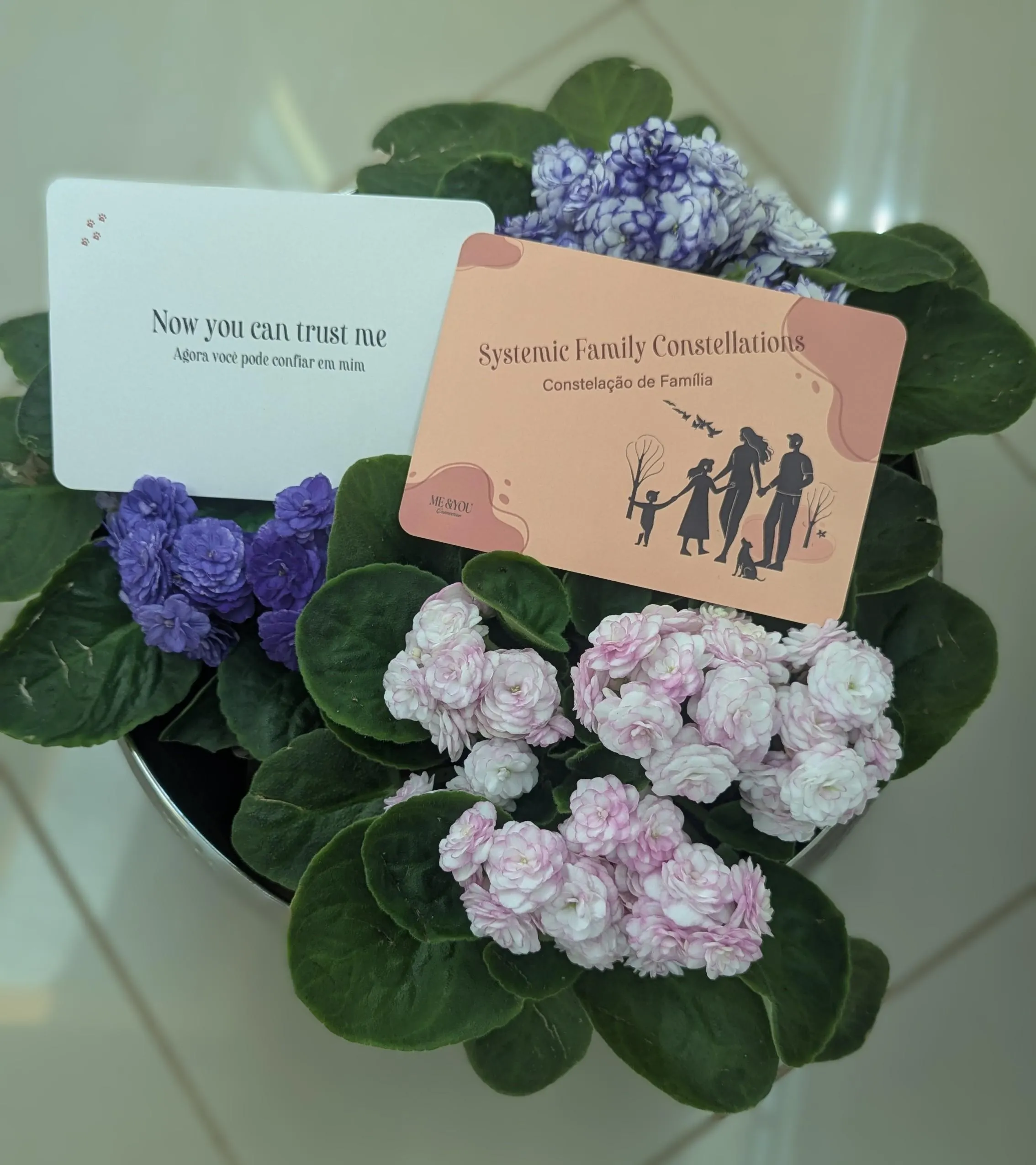 Systemic Family Constellation Cards