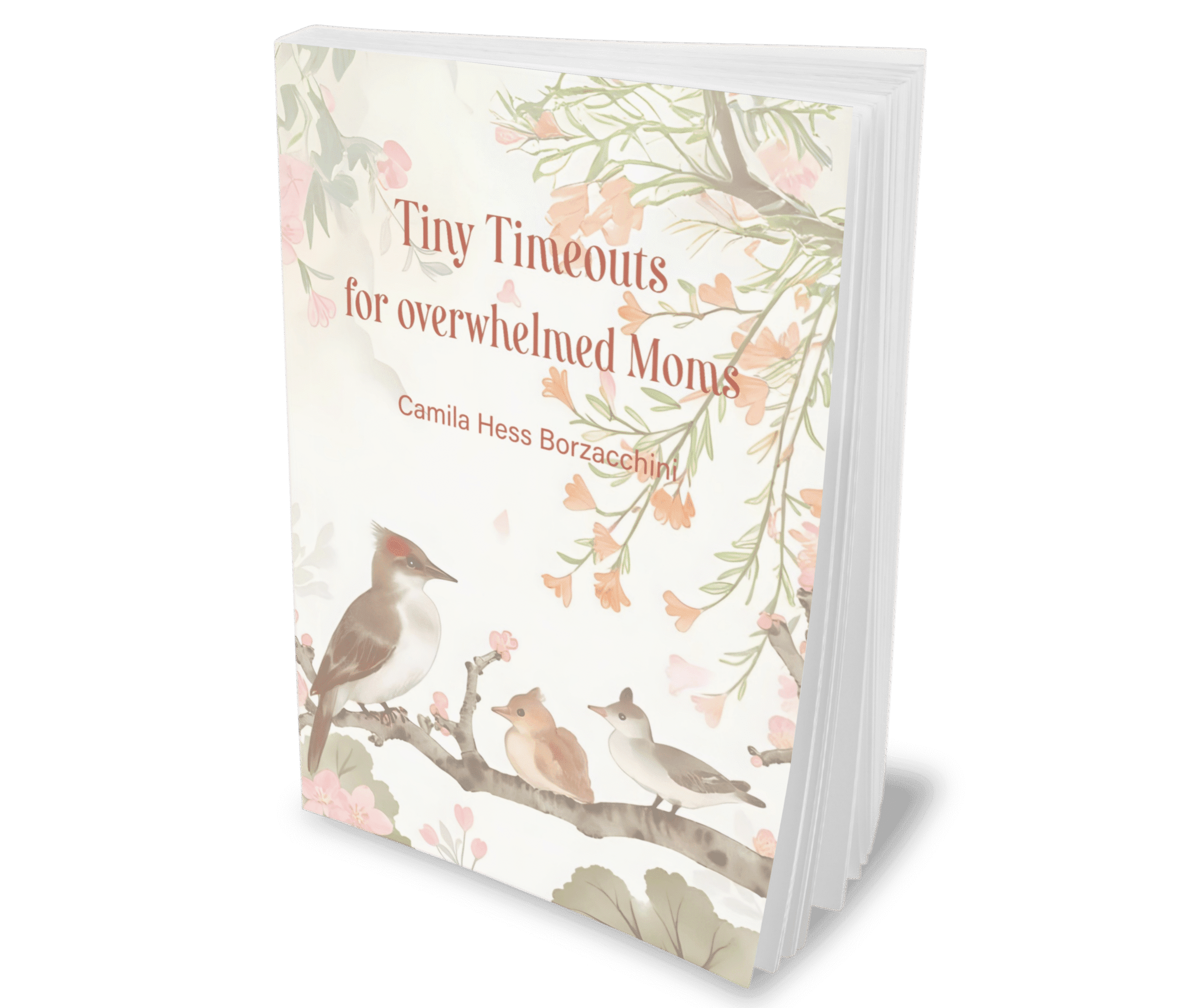 Tiny Timeouts for Overwhelmed Moms